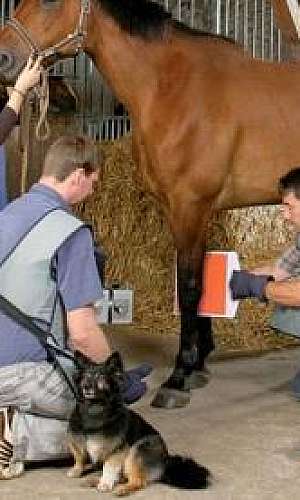 Emissor de rx digital	 Emissor de rx digital