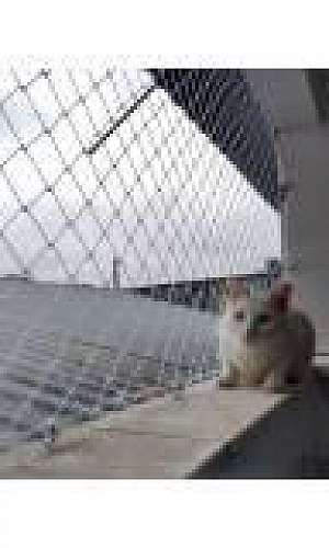 Rede de proteção apartamento Rede de proteção apartamento